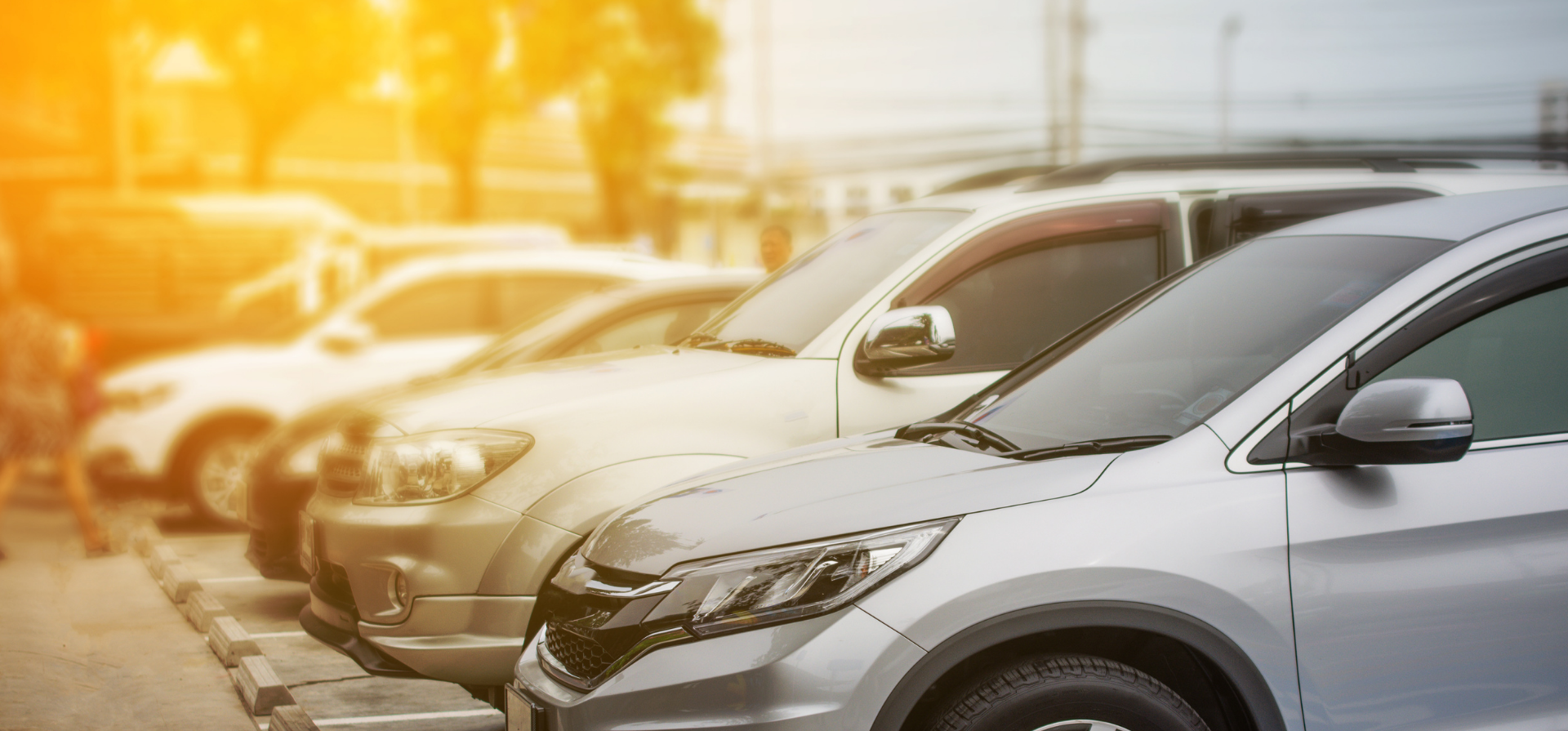 Untitled design – 2025-02-19T163236.255